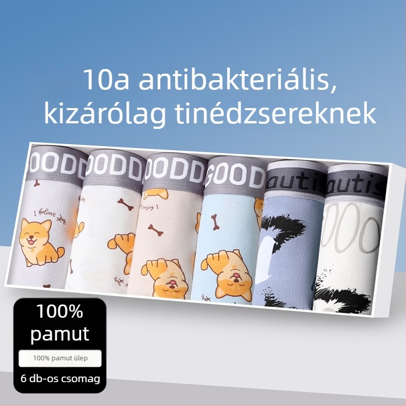Pamut boxeralsók tinédzser fiúk számára, varrat nélküli, lélegző, mintázatai: állat-, geometriai mintázatú, színblokkokkal vagy graffiti