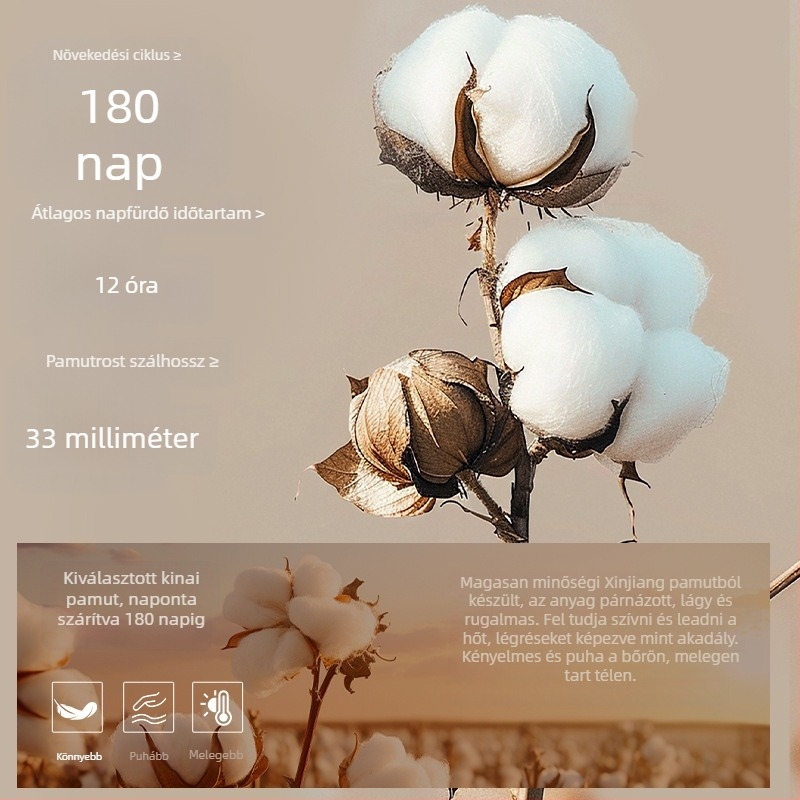 Női őszi thermális alsóruha készlet: pamut, varrás nélküli alapréteg, kerek nyakú, hosszú ujjú felső, 141–160 g/m²