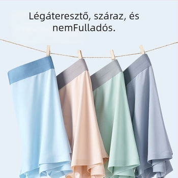 Férfi Ice Silk boxer brief, lélegző, antibakteriális, gyorsan száradó; kötött Nylon anyag; Ice Silk anyag; grafén a szeméremtájéki bélés