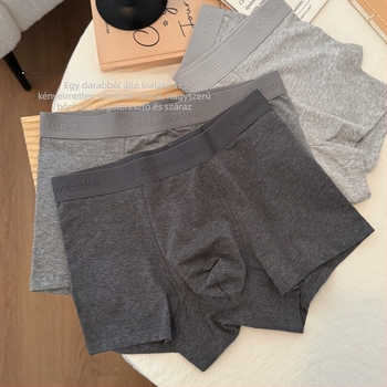 Férfi boxernadrág 10A antibakteriális, lélegző, nedvszívó, kényelmes, szürke