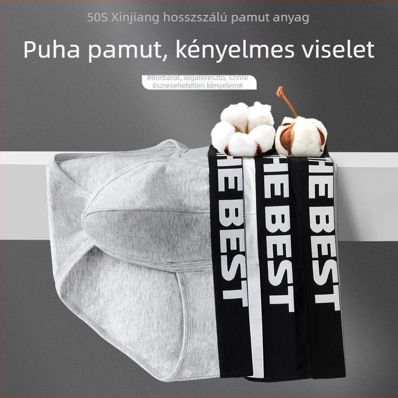 Férfi pamut brief, légáteresztő, középmagas derék, mintával és szöveggel, 95–100% pamut, négy évszak