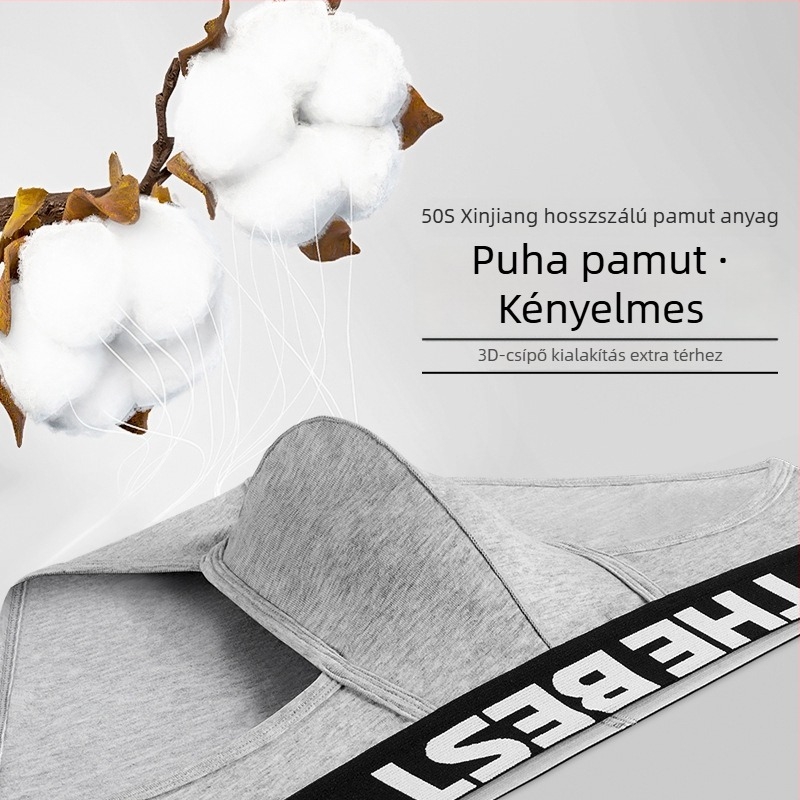 Férfi pamut brief, légáteresztő, középmagas derék, mintával és szöveggel, 95–100% pamut, négy évszak