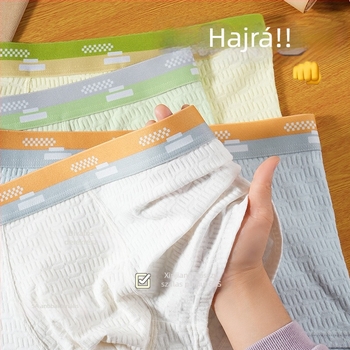 Férfi boxerok 60S jacquard szövésű, antibakteriális, lélegző, színkombinációval, 90-95% pamut