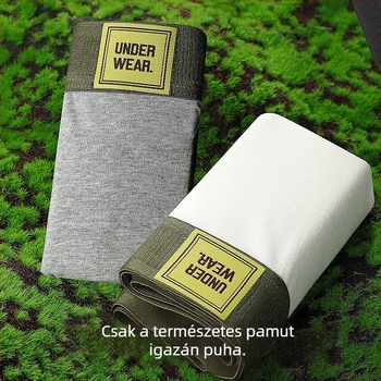 Férfi pamut alsónemű, 10A antibakteriális, lélegző, bőrbarát, középmagasságú boxer briefs, egyszínű vagy kamufláž