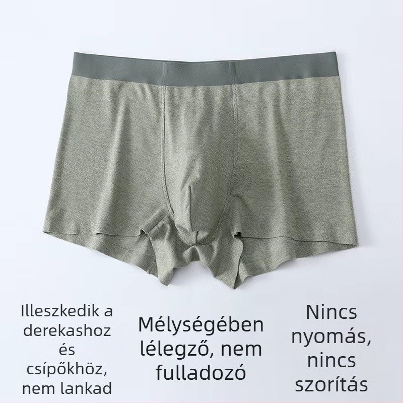 Férfi termikus boxer rövidnadrág, antibakteriális, Koreai stílusú, 7A, őszi-téli szezonra