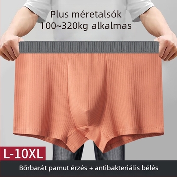 Férfi pamut alsónemű, lélegző és antibakteriális, középmagas derékvonal, kötött anyag