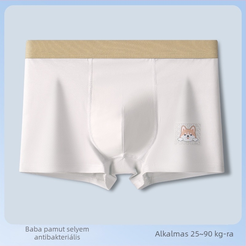 Cool Man tinédzser fiúk pamut boxer briefs, nagy méret, lélegző és antibakteriális