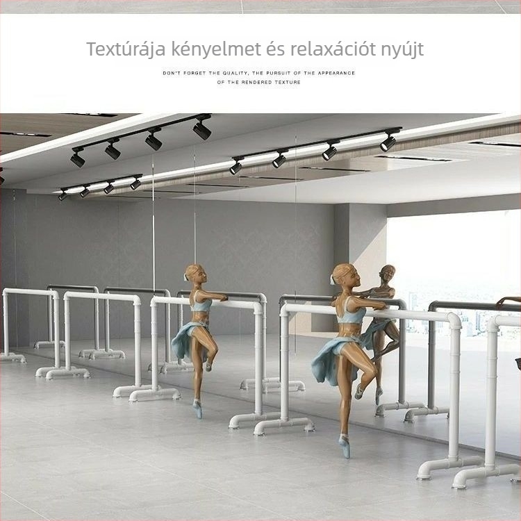 Táncrúd – mozgatható, professzionális balettrúddal edzőterembe és otthoni beltéri használatra