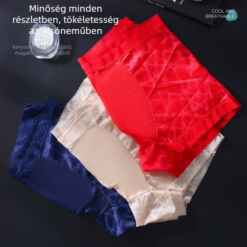 Férfi varrat nélküli, lélegző, antibakteriális boxer briefs csipkés hálóval, nyári modell, nagy méret
