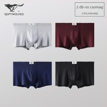 Férfi boxer brief, viszkóz, középmagas derekú, lélegző, kötött anyag, modal bélés a intim zónában
