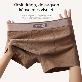 Plusz méretű férfi boxer briefek 100% pamutból, bőrbarát, lazán szabott, lélegző és kényelmes; ágyéki rész antibakteriális mulberry selyem bélés; jacquard kötés; sportos.