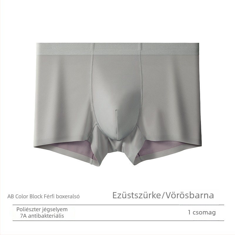 Férfi Ice Silk 100S, kétoldalas Lenzing Modal és Mulberry Silk boxerbrief, középmagas derékú, légáteresztő, varrás nélküli