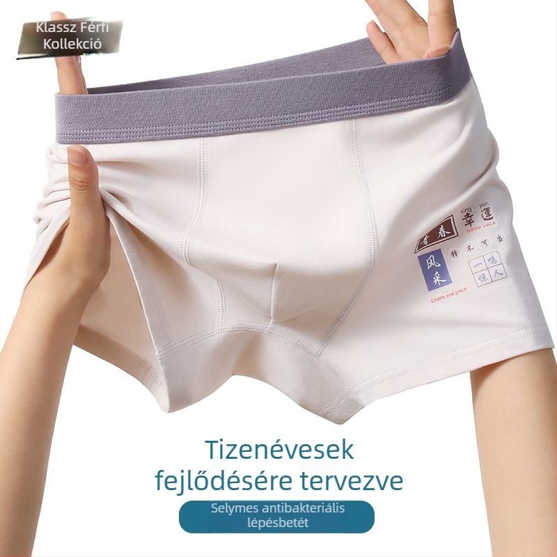 Férfi modal pamut boxeralsónemű, lélegző, antibakteriális, fiatalok számára, vékony nyári modell