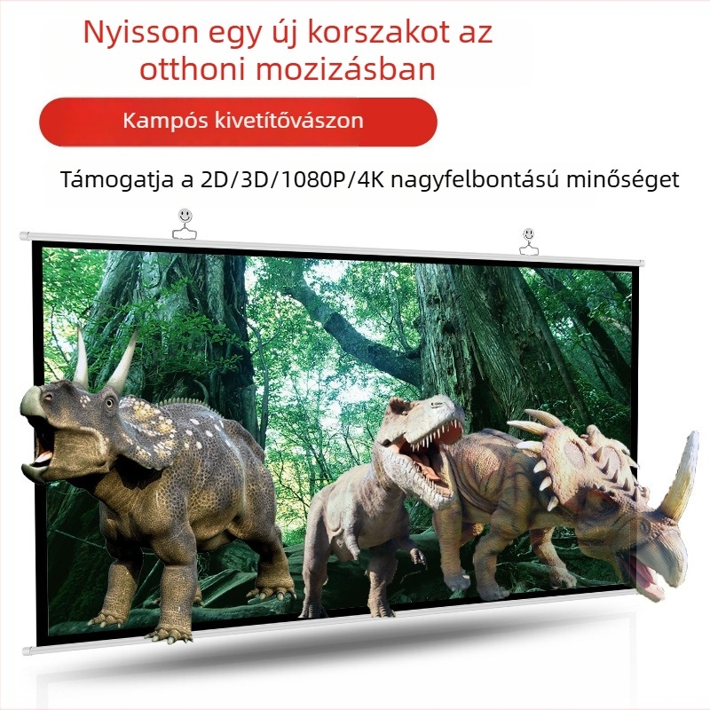 VEIDADZ 100 hüvelykes hordozható falra szerelhető 3D-kész HD vetítővászon, fehér műanyag