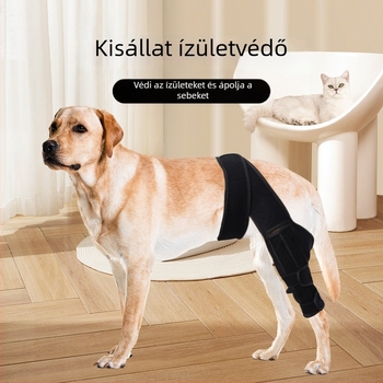 Kutyák térdvédő és lábszárvédő pánttal, ízületvédő, stabilizátor a töréshez, posztoperatív védőeszköz