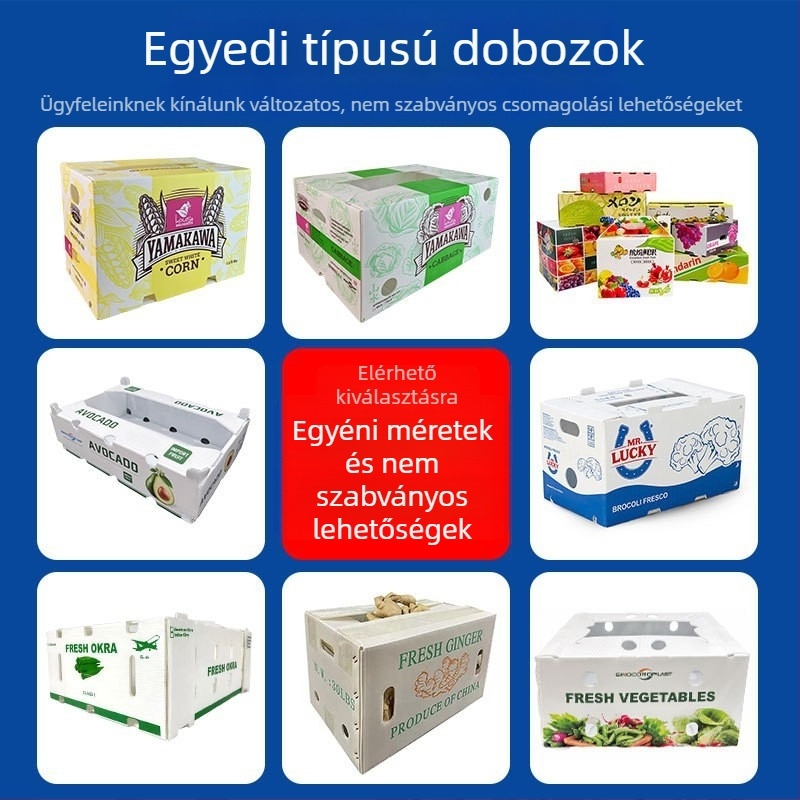 PP üreges szerkezetű gyümölcs- és zöldségkészlet doboz, vízálló, összecsukható, teherbírás 50