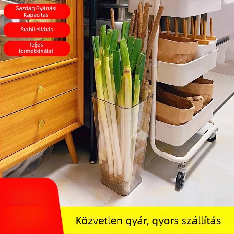 Zöldhagyma tároló doboz, átlátszó, többfunkciós, PET anyag, Living Together márka, logó nyomtatás lehetséges, konyhai használat, nagy kapacitás