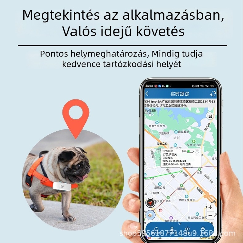 4G GPS háziállat nyakörv – kutyák és macskák helymeghatározó nyomkövető, anti-lost