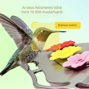 Üveges madáretető kamerával, virágos mintával, 2K dizájn, víz- és etető adagoló