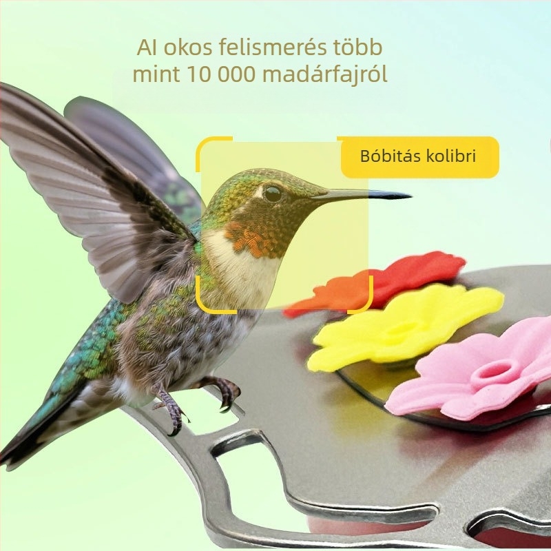 Üveges madáretető kamerával, virágos mintával, 2K dizájn, víz- és etető adagoló