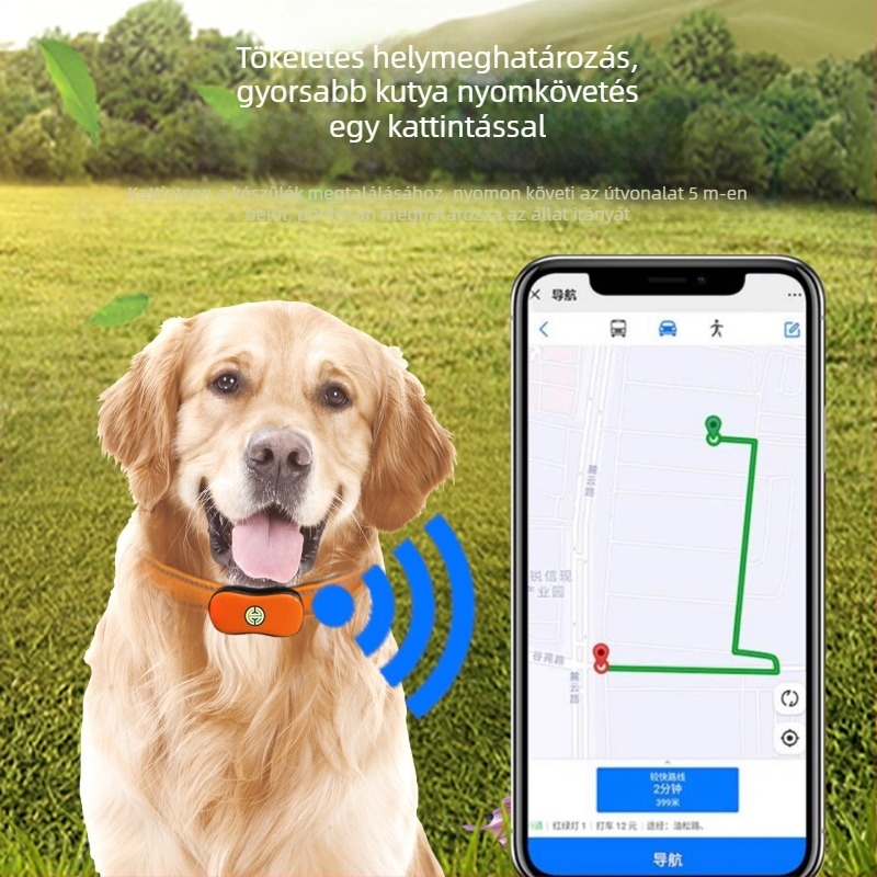 Háziállat-lokátor nyakörv - Modell 551, Bluetooth interfész, ABS anyag, tömeg 23 g, korlátlan vezeték nélküli tartomány