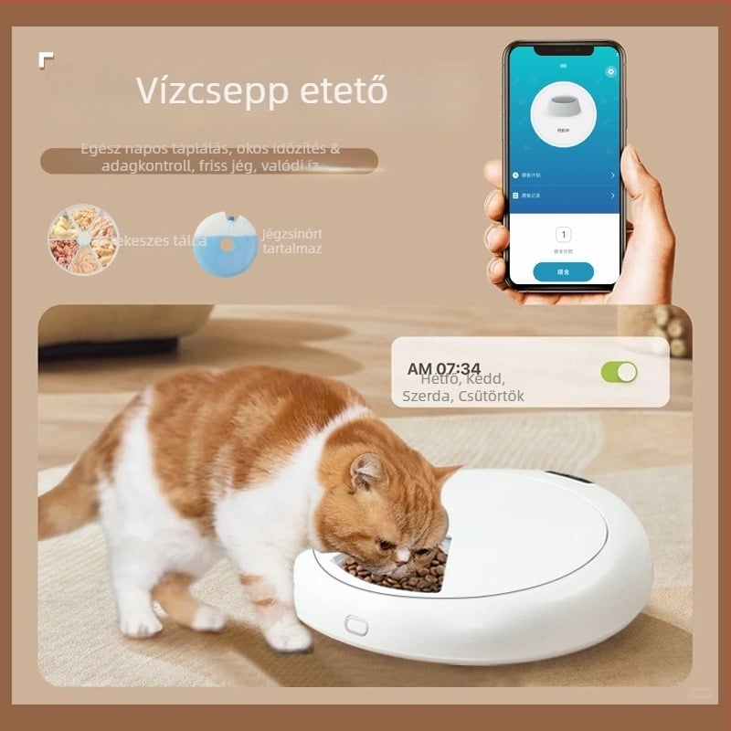 Hat rekeszes automata etető nedves ételhez Bluetoothkal és időzítő adagolással macskáknak és kutyáknak