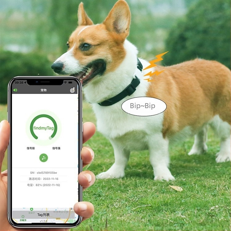 Háziállat-nyomkövető nyakörv - Modell F2, Bluetooth 5.0, Akkumulátor 240, Súly 9,7 g, Android és iOS kompatibilis