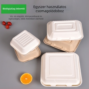 Egyszer használatos ebédes doboz, négyszögletes, cukornád rostból, 8000 ml kapacitás, 0,06 mm vastagság, biológiailag lebomló