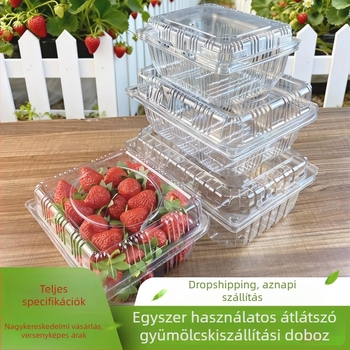 Mingqi egyszer használatos műanyag gyümölcs csomagoló doboz átlátszó fedéllel – mikrohullámú sütő nem használható, nem lebomló