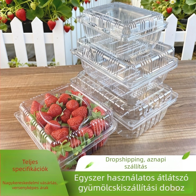 Mingqi egyszer használatos műanyag gyümölcs csomagoló doboz átlátszó fedéllel – mikrohullámú sütő nem használható, nem lebomló