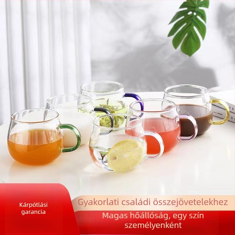 Fogantyús vízivó pohár — kézzel fújt boroszilikát üveg, hőálló, egy pohár