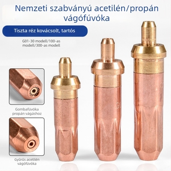 Gyűrű alakú vágófej G01-30-100, gáz-oxigén-acetilén-propán égéshez; folyékony gázhoz; szilva virág alakú vágófej