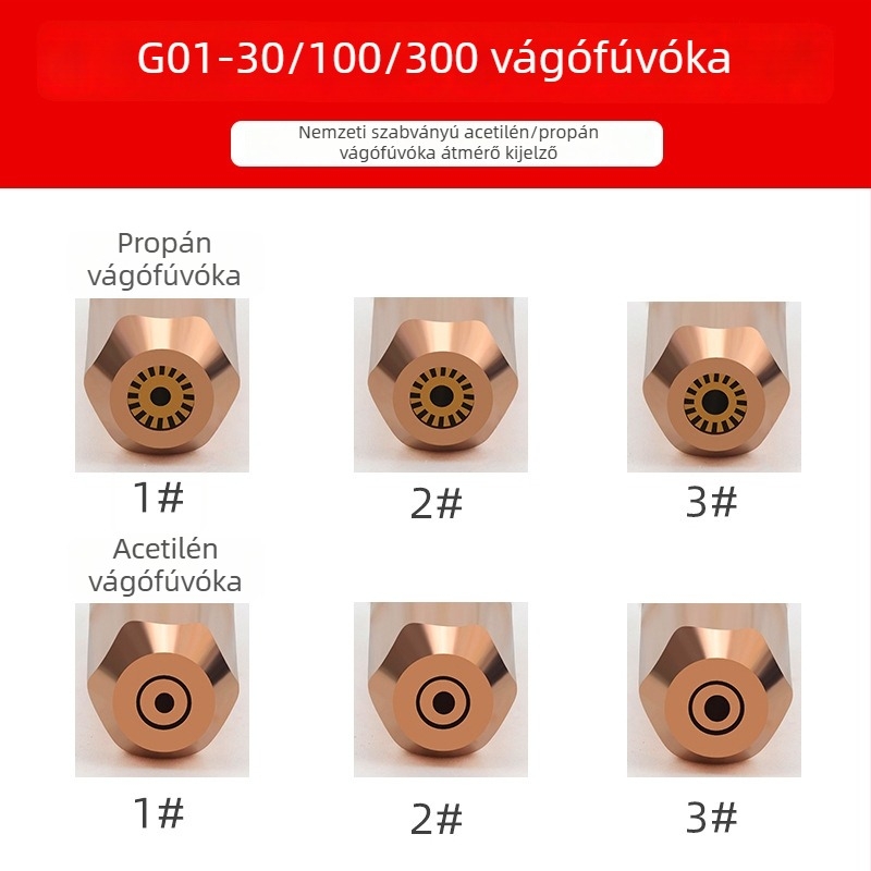 Gyűrű alakú vágófej G01-30-100, gáz-oxigén-acetilén-propán égéshez; folyékony gázhoz; szilva virág alakú vágófej