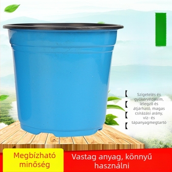 Növényedény - műanyag, korrózióálló, padlóra tervezett, zöldítés és dugványnevelés céljaira