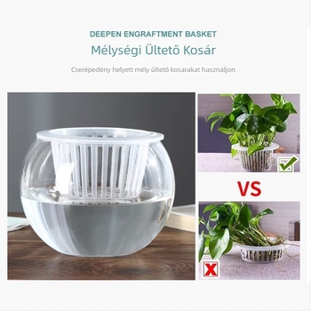 Üvegből készült virágtartó padlóra álló, egyszerű stílus, otthoni kertészkedéshez