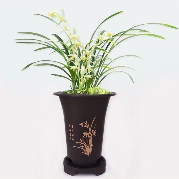 Orchideák számára vastagított műanyag cserép, magas, klasszikus kialakítás, padlón álló