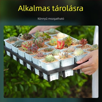 Négyzet alakú műanyag vetőtálca alsó tápedénnyel, injekciós formázással, tartós és korrózióálló, alkalmas sukkulenták és növényneveléshez