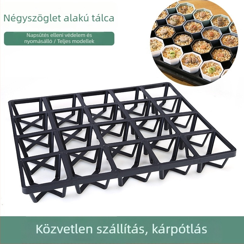 Négyzet alakú műanyag vetőtálca alsó tápedénnyel, injekciós formázással, tartós és korrózióálló, alkalmas sukkulenták és növényneveléshez