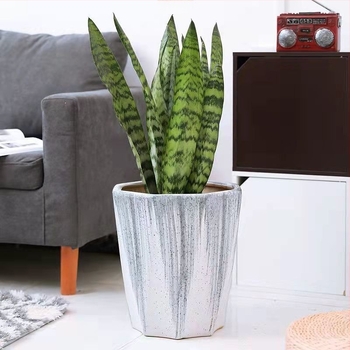 Kerámia virágtartó tálcával, extránagy méret, európai minimalistikus stílus, fehér, szukkulenták és pothos számára
