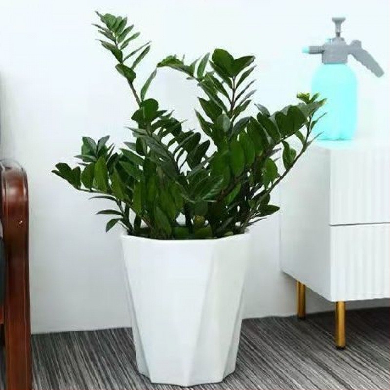 Kerámia virágtartó tálcával, extránagy méret, európai minimalistikus stílus, fehér, szukkulenták és pothos számára