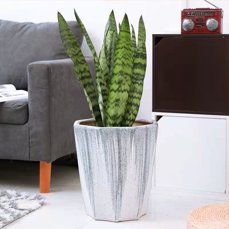 Kerámia virágtartó tálcával, extránagy méret, európai minimalistikus stílus, fehér, szukkulenták és pothos számára