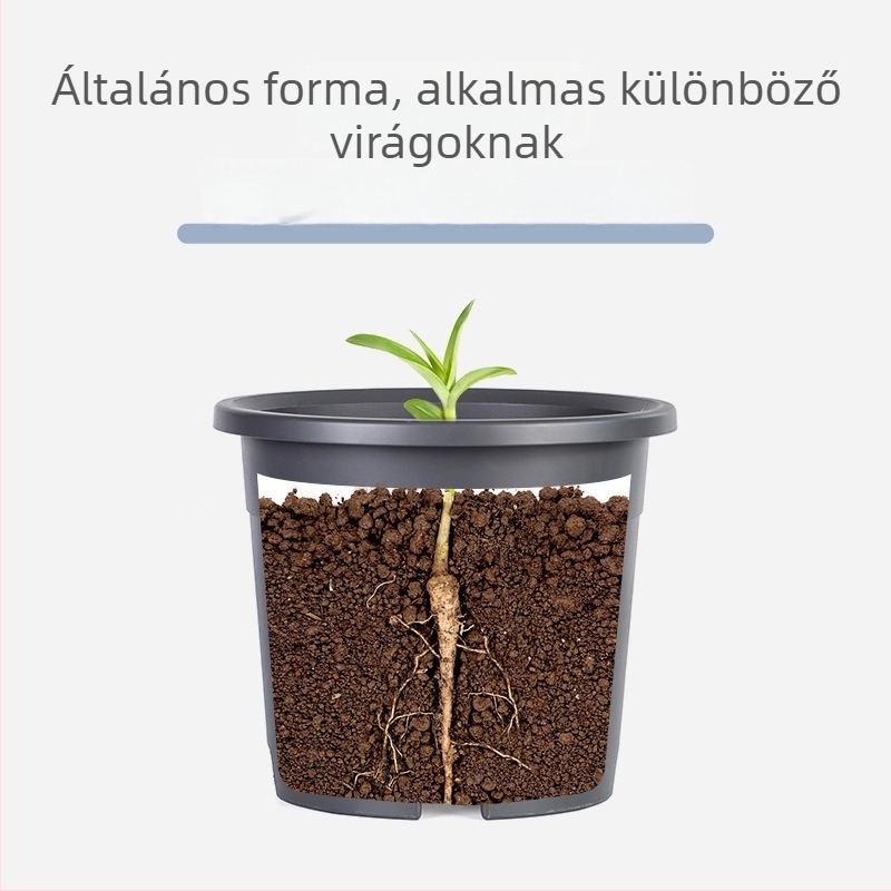 Gyökérkontroll virágtartó minden évszakra, áteresztő műgyanta, injekciós öntés, többszörös nyílások