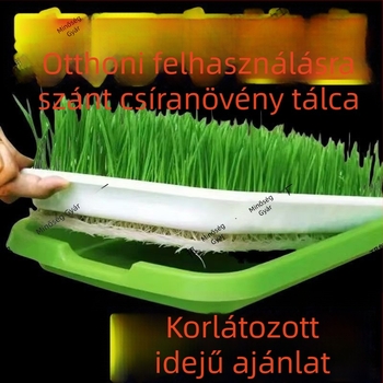 Palántaedény, PVC, álló kialakítás, hidroponikus háló a zöldborsó és a babcsíra termesztéséhez, otthoni kerthez