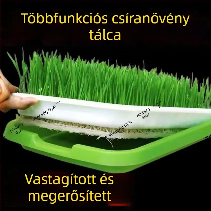 Palántaedény, PVC, álló kialakítás, hidroponikus háló a zöldborsó és a babcsíra termesztéséhez, otthoni kerthez