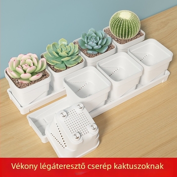 Szögletes műanyag virágcserép, légáteresztő és tartós, asztali használatra, injektálással gyártva.