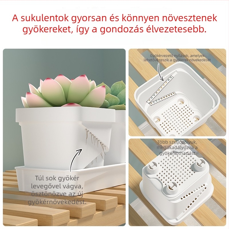 Szögletes műanyag virágcserép, légáteresztő és tartós, asztali használatra, injektálással gyártva.