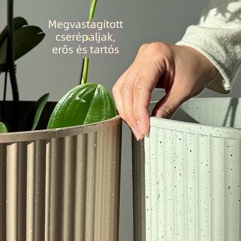 Phalaenopsis orchidea – műanyag dekoratív beltéri virágtartó, alkalmas szukkulentákhoz és zöld növényekhez