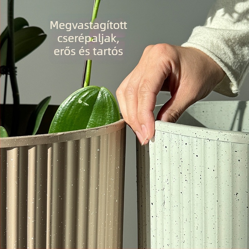 Phalaenopsis orchidea – műanyag dekoratív beltéri virágtartó, alkalmas szukkulentákhoz és zöld növényekhez