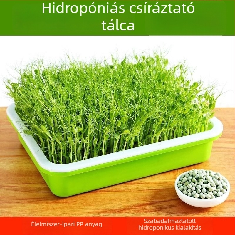 Csíranövény-tálca csíráztatáshoz, erkélyi hidroponikára és talajmentes zöldségtermesztésre; babcsíra, búza és fokhagyma csíranövények.