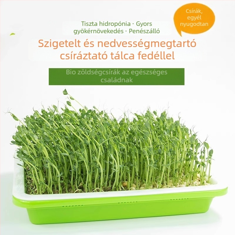 Csíranövény-tálca csíráztatáshoz, erkélyi hidroponikára és talajmentes zöldségtermesztésre; babcsíra, búza és fokhagyma csíranövények.
